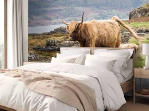 Outlet Schotse Hooglander op Mull fotobehang Dieren