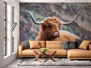 Online Schotse Hooglander van dichtbij fotobehang Dieren