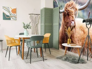 Online Schotse Hooglander van dichtbij fotobehang Dieren