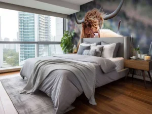 Online Schotse Hooglander van dichtbij fotobehang Dieren