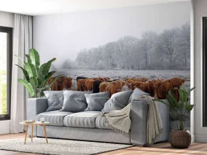 Discount Schotse Hooglanders in een winterlandschap fotobehang Gang