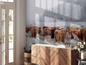 Discount Schotse Hooglanders in een winterlandschap fotobehang Gang