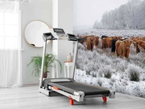 Discount Schotse Hooglanders in een winterlandschap fotobehang Gang