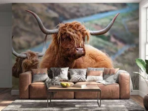 Online Schotse Hooglanders in het gras fotobehang Dieren