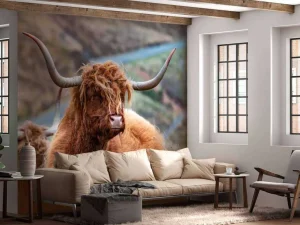 Online Schotse Hooglanders in het gras fotobehang Dieren