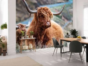 Online Schotse Hooglanders in het gras fotobehang Dieren