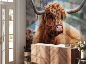 Online Schotse Hooglanders in het gras fotobehang Dieren