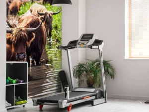 Online Schotse Hooglanders in het water fotobehang Dieren