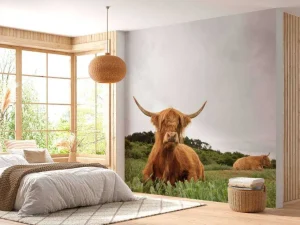 Outlet Schotse Hooglanders op het gras fotobehang Dieren
