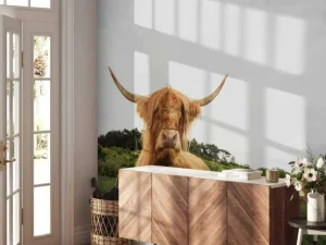 Outlet Schotse Hooglanders op het gras fotobehang Dieren