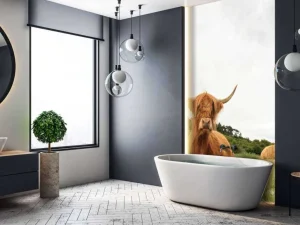Outlet Schotse Hooglanders op het gras fotobehang Dieren