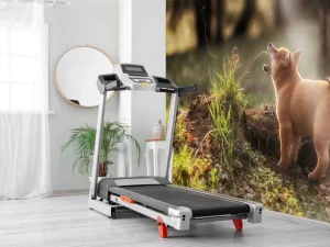 Best Shiba Inu in het bos fotobehang Tienerkamer | Dieren