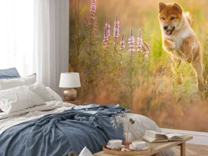 New Shiba Inu in het veld fotobehang Dieren