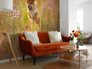 New Shiba Inu in het veld fotobehang Dieren