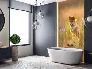 New Shiba Inu in het veld fotobehang Dieren