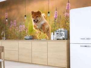 New Shiba Inu in het veld fotobehang Dieren
