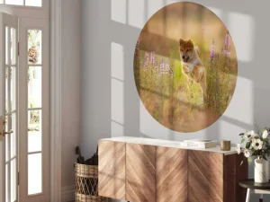 New Shiba Inu in het veld fotobehang Dieren