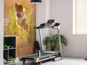 New Shiba Inu in het veld fotobehang Dieren