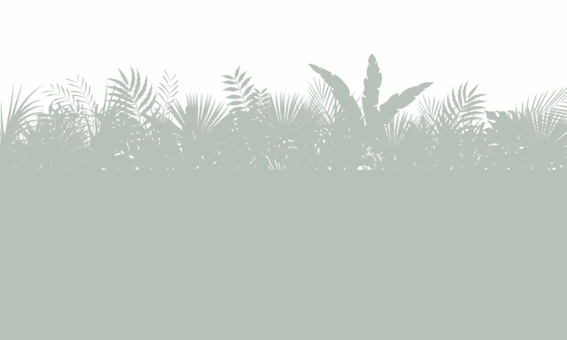 silhouetten_palmbladeren__0-1.webp Clearance Silhouetten palmbladeren, lichtgroen Kinderkamer