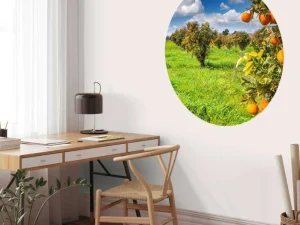 Fashion Sinaasappelbomen in Sicilië fotobehang Bloemen