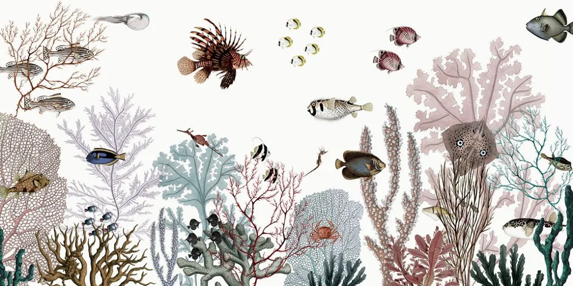 sir_edwards__roaring_reef_0.webp New Sir Edwards - Roaring Reef - White fotobehang Kinderkamer