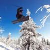 Sale Skiër maakt een hoge sprong fotobehang Tienerkamer | Sport
