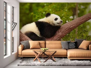 Outlet Slapende panda in een boom fotobehang Dieren