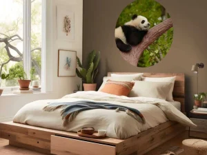 Outlet Slapende panda in een boom fotobehang Dieren