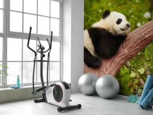 Outlet Slapende panda in een boom fotobehang Dieren
