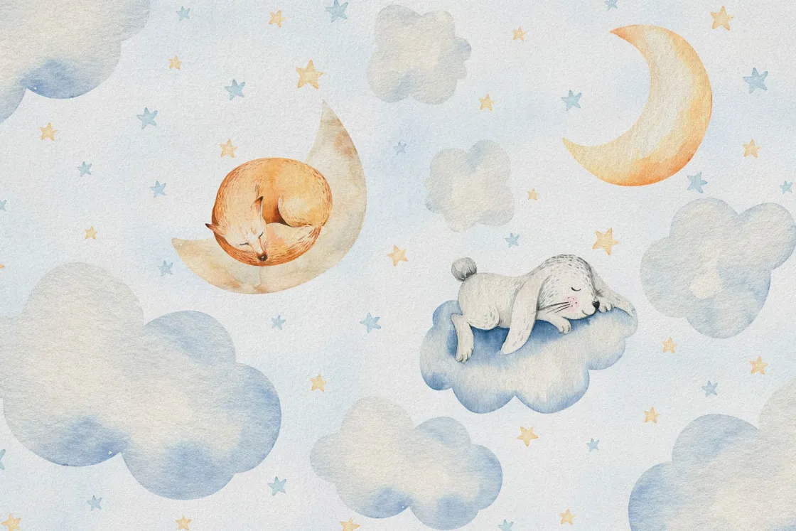 slapende_vrienden_in_de_w_0.webp Sale Slapende vrienden in de wolken Babykamer