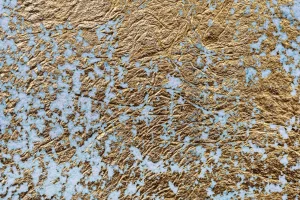 Best Slordige blauwe muur met goud fotobehang Oppervlakten
