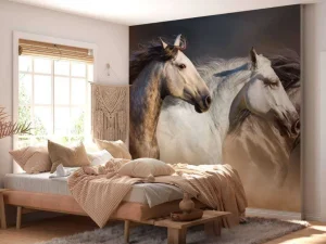 Sale 3 Snelle Paarden fotobehang Tienerkamer | Kinderkamer