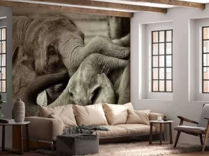 Discount Spelende olifanten in Sri Lanka fotobehang Hobbykamer | Gang