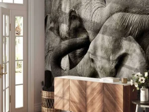 Discount Spelende olifanten in Sri Lanka fotobehang Hobbykamer | Gang