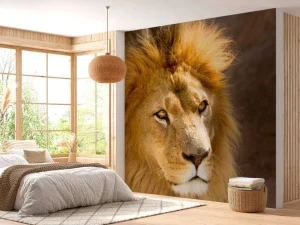 Online Starende Leeuw Close-Up fotobehang Dieren