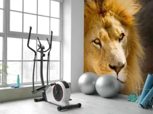 Online Starende Leeuw Close-Up fotobehang Dieren