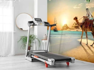 Hot Strand in de woestijn design fotobehang Dieren