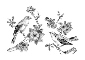Sale Tekening van vogels op een tak met appelbloesems fotobehang Dieren | Bloemen