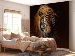New Tijger met een zwarte achtergrond fotobehang Dieren
