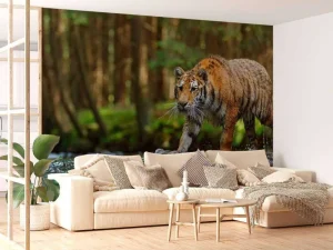 Discount Tijger op een rivier fotobehang Dieren