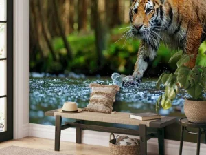 Discount Tijger op een rivier fotobehang Dieren