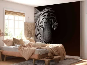 Outlet Tijger op zwarte achtergrond fotobehang Dieren
