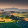 Online Toscaans landschap met wijngaarden fotobehang Bloemen