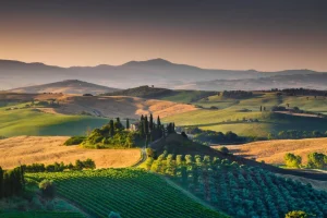 Online Toscaans landschap met wijngaarden fotobehang Bloemen