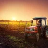 Sale Tractor bij zonsondergang fotobehang Kinderkamer | Transport