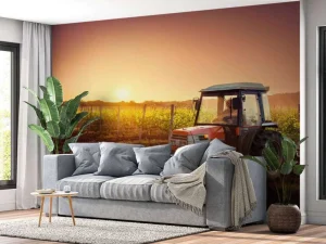 Sale Tractor bij zonsondergang fotobehang Kinderkamer | Transport