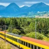 Online Trein door een bos in Slowakije fotobehang Transport