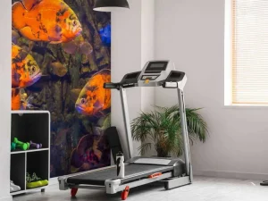 Online Tropische vissen en algen fotobehang Dieren