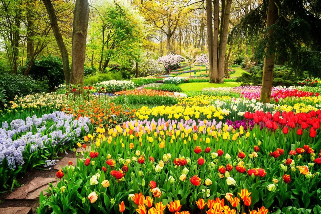 tulpencreaties_in_een_par_0.webp Clearance Tulpencreaties in een park fotobehang Steden | Architectuur