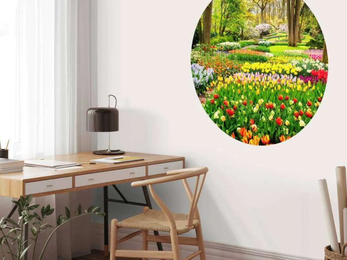 tulpencreaties_in_een_par_6.webp Clearance Tulpencreaties in een park fotobehang Steden | Architectuur